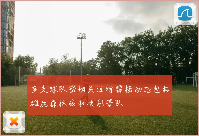 多支球队密切关注特雷杨动态包括雄鹿森林狼和快船等队
