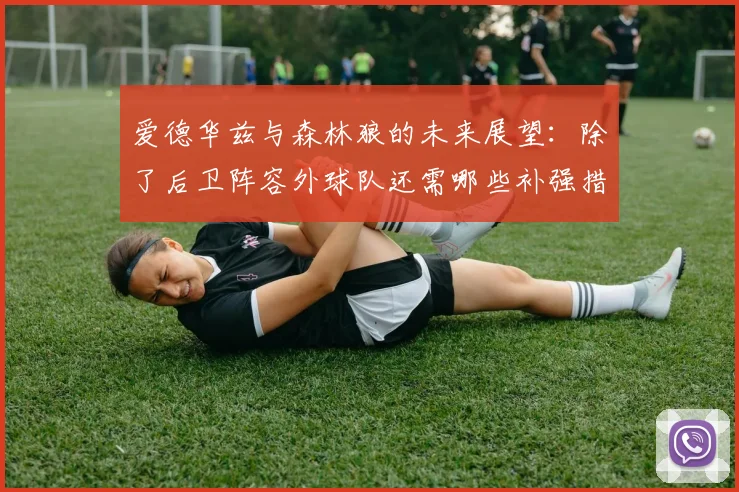 爱德华兹与森林狼的未来展望：除了后卫阵容外球队还需哪些补强措施
