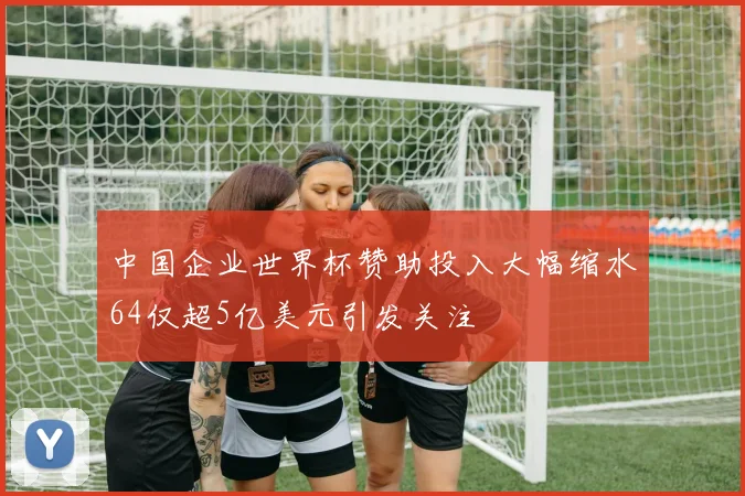 中国企业世界杯赞助投入大幅缩水64仅超5亿美元引发关注