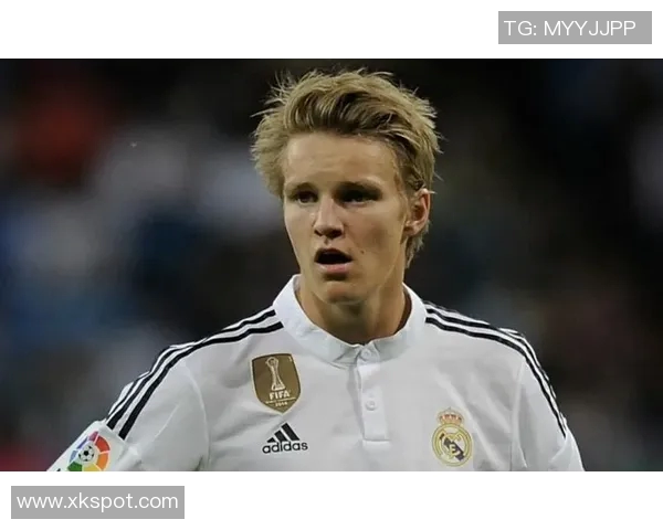 厄德高回顾与挪威队的艰难时刻强调关键战役中队友支持的重要性